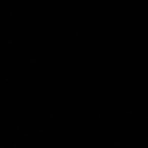 Meet your Posher, Mona